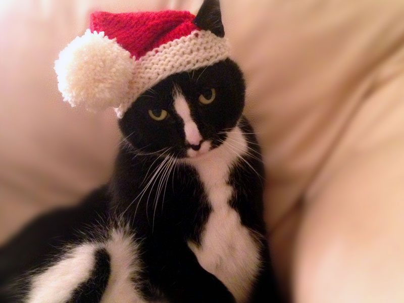 Santa hat store with cat ears